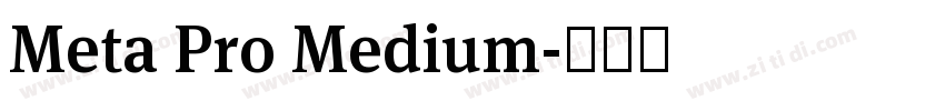 Meta Pro Medium字体转换